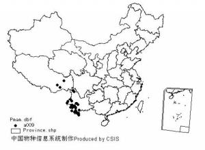 北豚尾猴分布示意图－中国物种信息系统CSIS