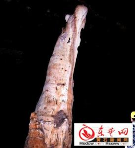 贵妃洞