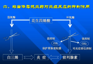 非甾体类抗炎药