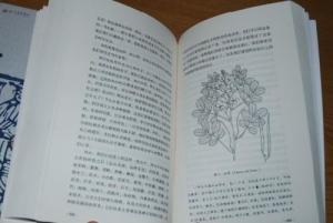 内文