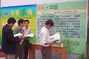峨桥镇