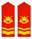 武警三级士官肩章(1999-2007)