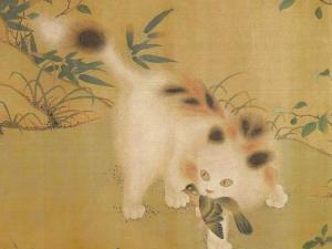 狸奴