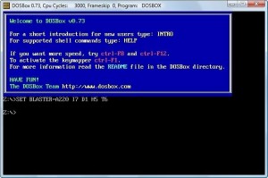 DOSBox 模拟器.