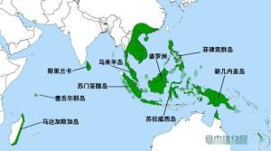 猪笼草分布范围