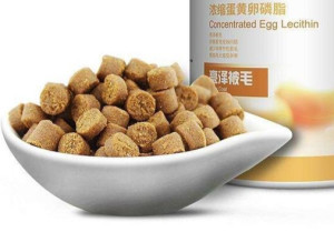卵磷脂颗粒