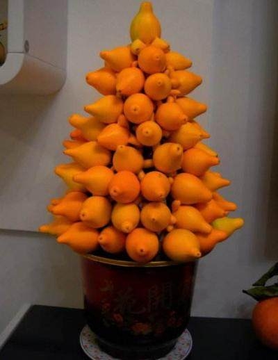 黄金果