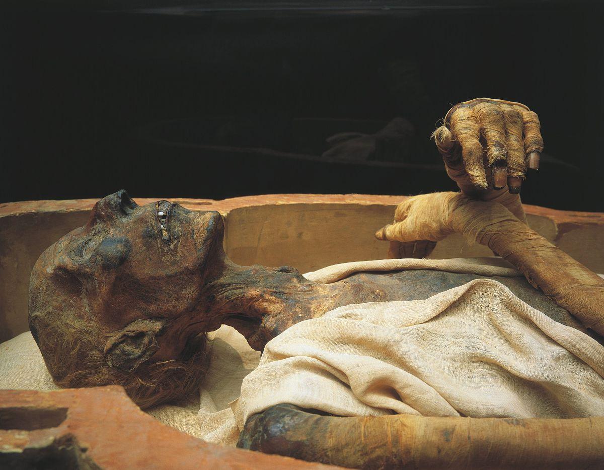 拉美西斯二世的木乃伊图片