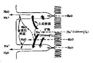 相关分子式