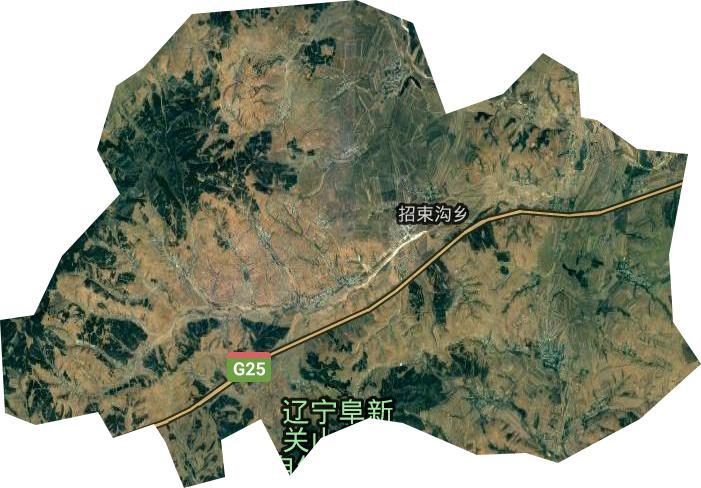 招束沟镇卫星图