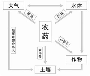 土壤污染