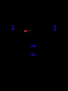 西夏王陵5号陵