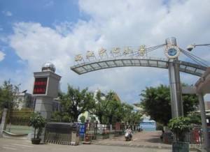 小学
