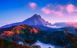 五指山