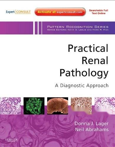 practical renal pathology, a diagnostic approach
