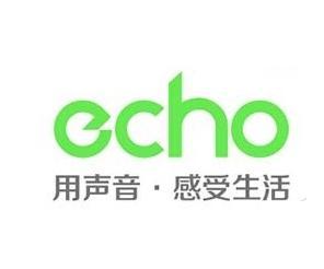echo回声