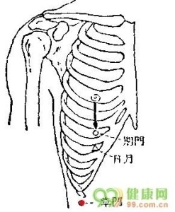 本穴物質為急脈穴傳來的強勁風氣,至本穴後,此強勁風氣風停氣息,風氣