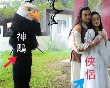 神雕侠侣 搜狗百科