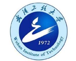武汉工程大学(图1)