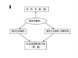 基础产业