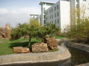 沈阳化工大学