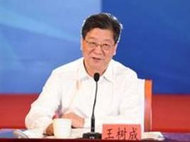 王树成