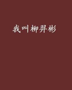 什么叫涉政小说 300