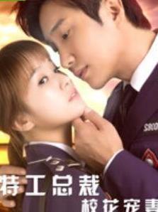 特工总裁的校花宠妻