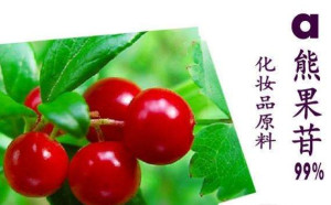 熊果苷