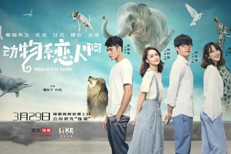 动物系恋人啊 2018年钟欣潼 贺军翔主演的电视剧 搜狗百科