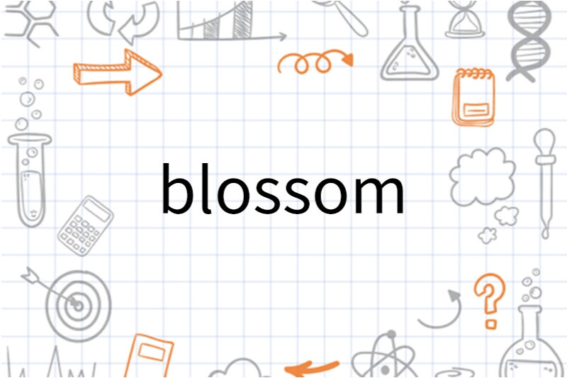 Blossom 英文单词 搜狗百科