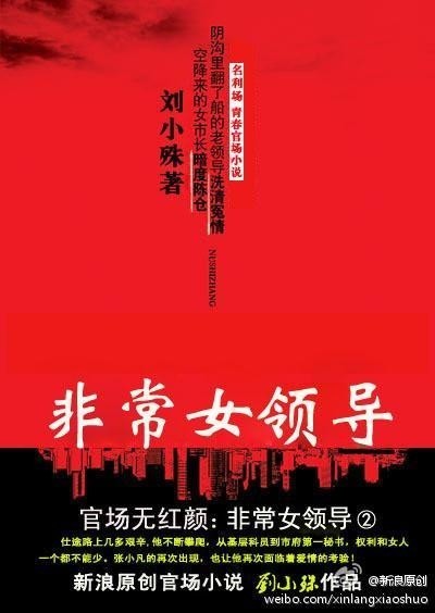 官场无红颜：非常女领导(刘小殊著小说)