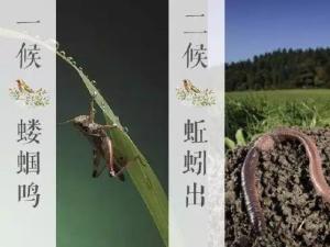 立夏三侯