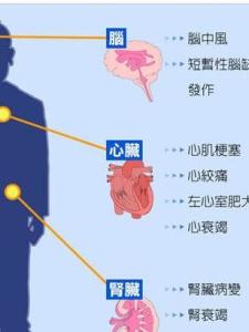 高血压的危害