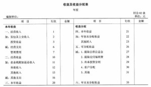 集体经济收益及收益分配表