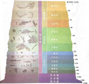 地质年代表(3)地质年代是用来描述地球历史事件的时间单位,通常在地质