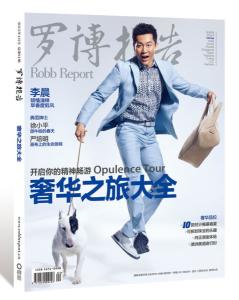 《罗博报告》大众版