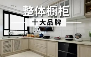 橱柜十大品牌