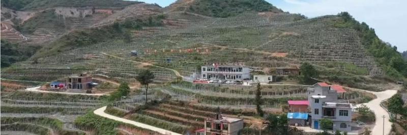 凤亭乡村貌