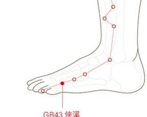 侠溪穴 _ 百科