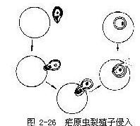 图2-26