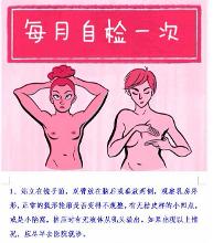 乳房自检漫画