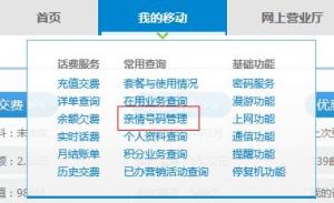 亲情号码