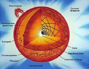 太阳内部结构简图图片