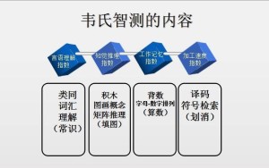 韦氏智力测验