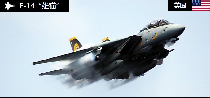 传说二十世纪八十年代未美国海空军搞对抗演习f14对f15,f14大胜