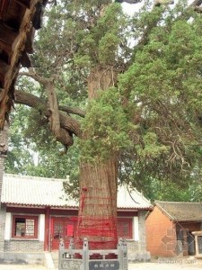 伊川书院