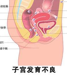 12岁子宫图片