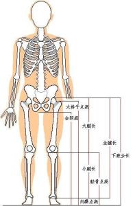 从胫骨点(ti)至内踝点(sph)的直线距离;等于胫骨点高减去内踝高