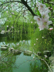 春晖湖